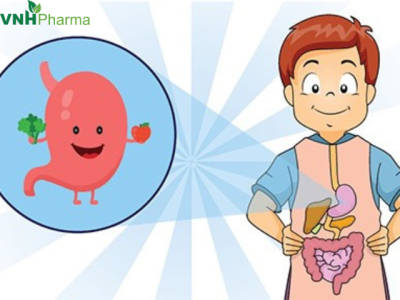 NHỮNG CÁCH ĐƠN GIẢN GIÚP BẢO VỆ HỆ TIÊU HÓA CỦA TRẺ KHỎE MẠNH