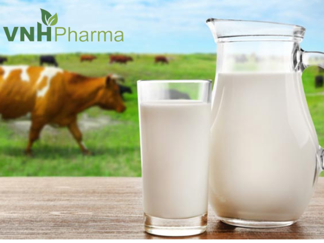 Trẻ bị táo bón có nên uống sữa tươi?